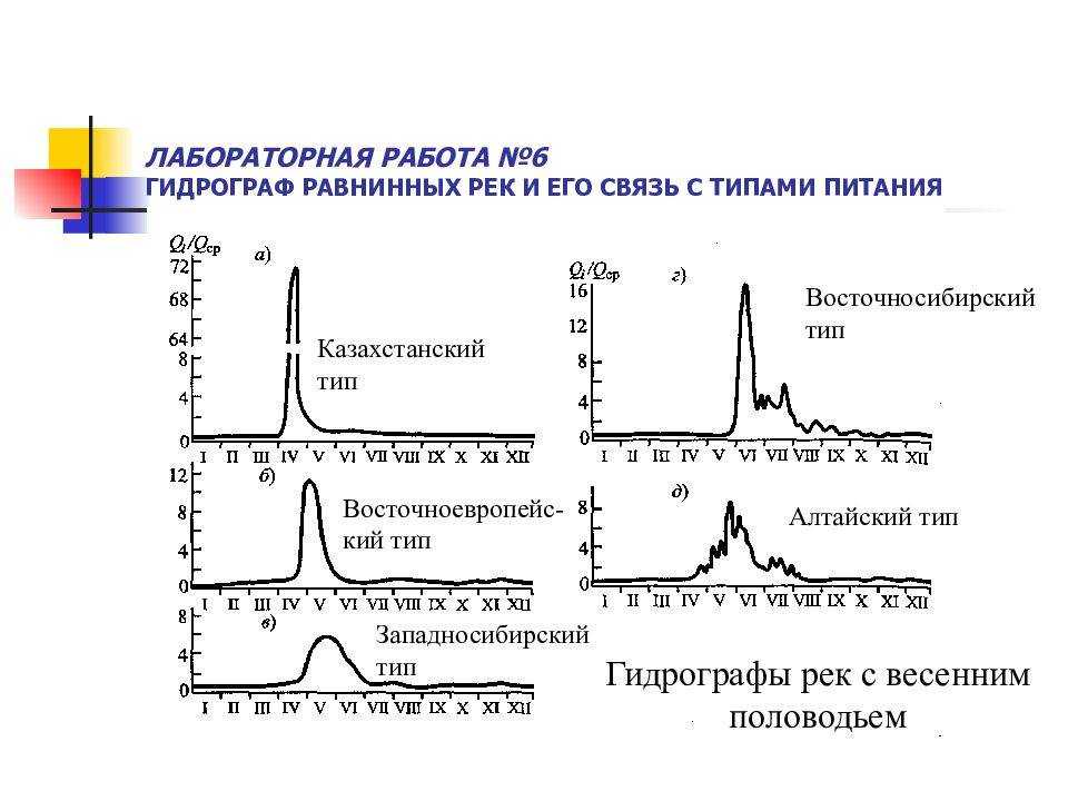 Река амур от истока до устья, бассейн и течение