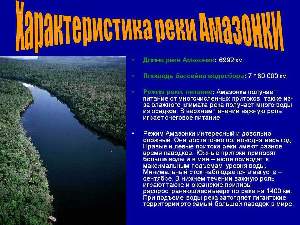 Амазонка: где находится, устье и площадь, длина реки, флора и фауна, экологические проблемы, экономическое значение