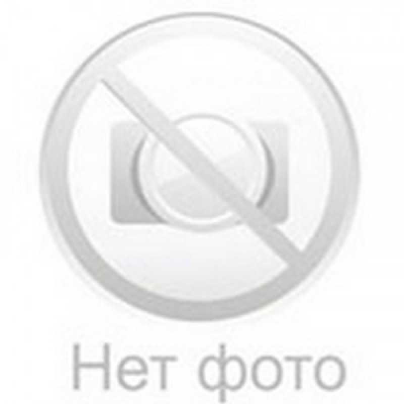 Intex или bestway, какой бассейн лучше?