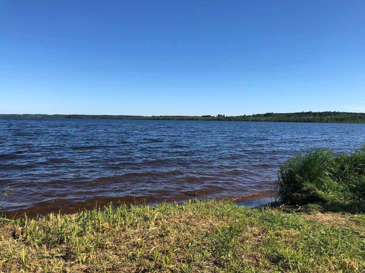 Озеро лубенское: описание, все о рыбалке на водоеме, фото и отзывы - truehunter.ru