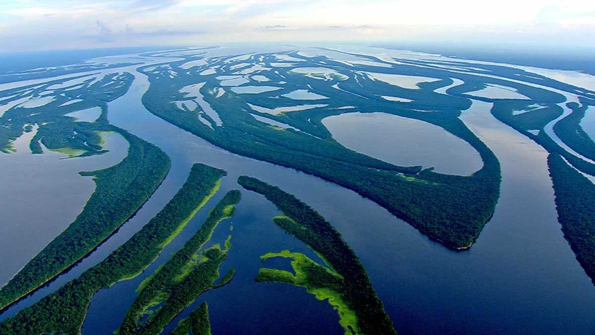 На столько ли опасна самая длинная река в мире амазонка