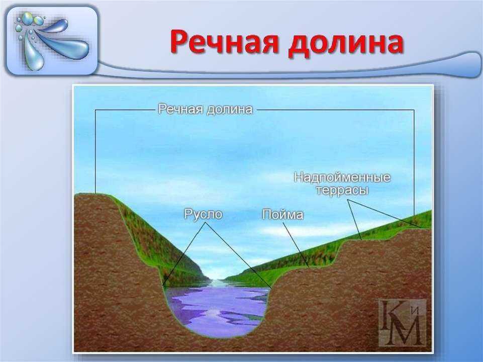 Пойма реки — это…границы участка