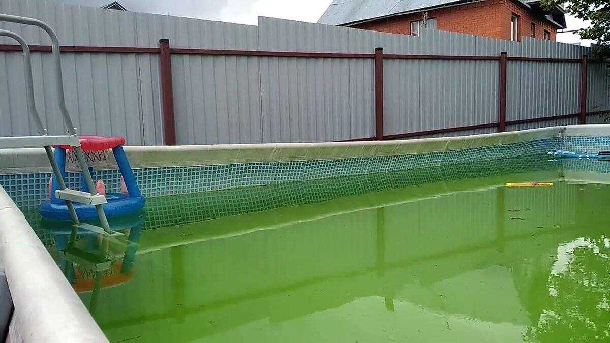 Как часто нужно менять воду в бассейне? | формула воды