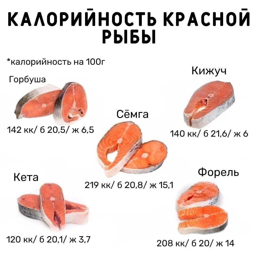 Самый крупный ерш в мире: факты об удачной ловле и ее секреты