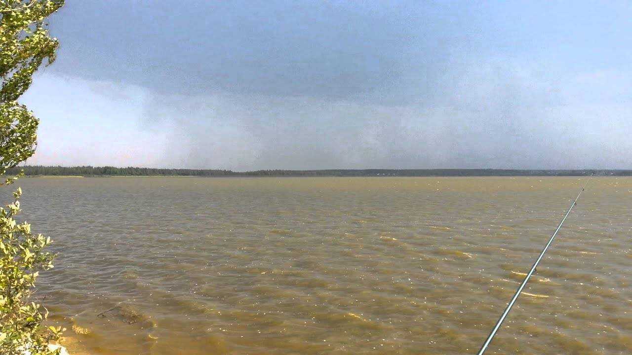 Озеро белое (северное) в рязанской области