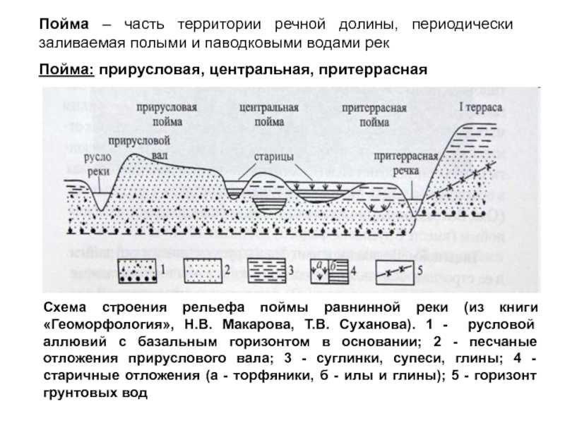 Пойма и долина реки: что это такое, как образуются, примеры. пойма реки это что? - uhistory.ru