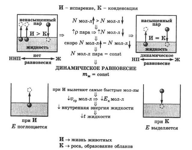 Огэ по физике - парообразование и конденсация