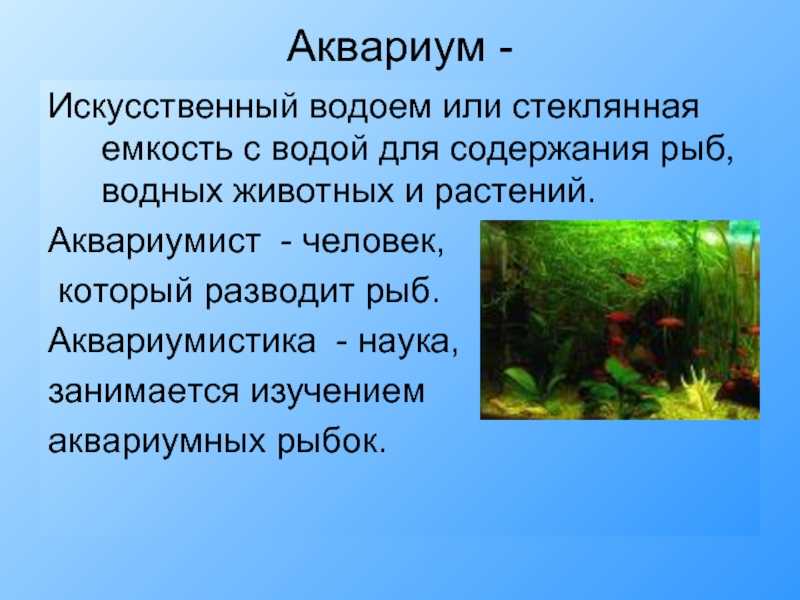 Происхождение слова "аквариум" в русском языке.