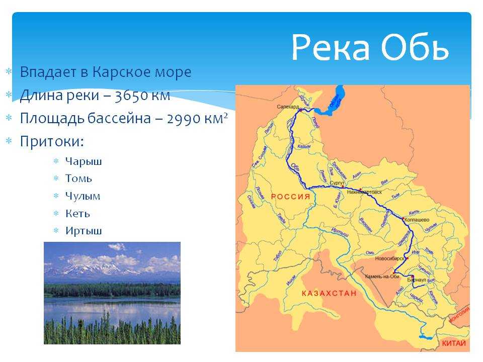 Река лена: исток, бассейн и устье реки, обзор рыбалки и туризма