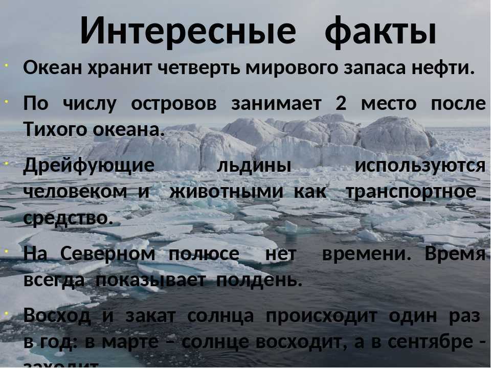 Кто и когда открыл южный океан: история открытия и исследования