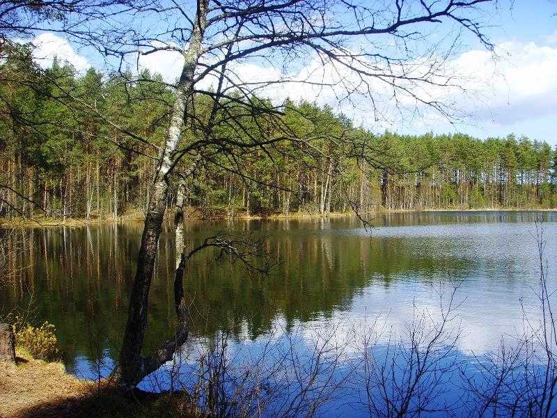 Озеро лубенское: описание, все о рыбалке на водоеме, фото и отзывы