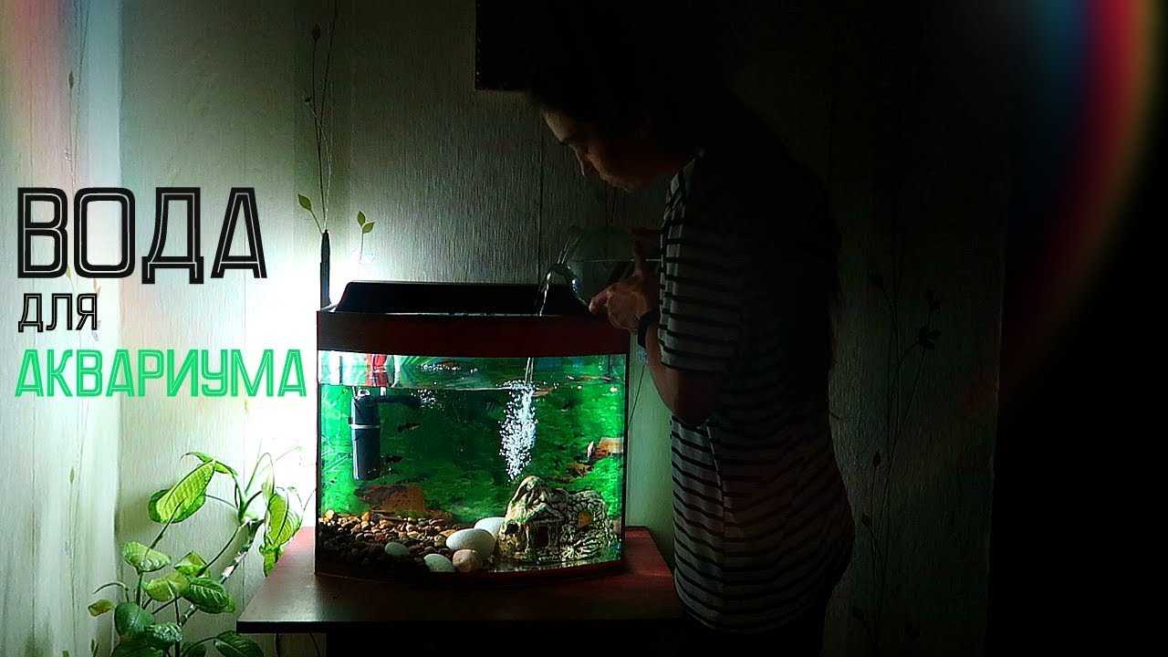 Дождевая и талая вода в аквариуме | аквариумок