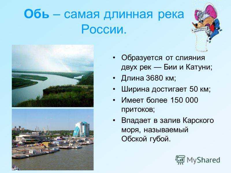 Растения и животные реки обь 4 класс кратко