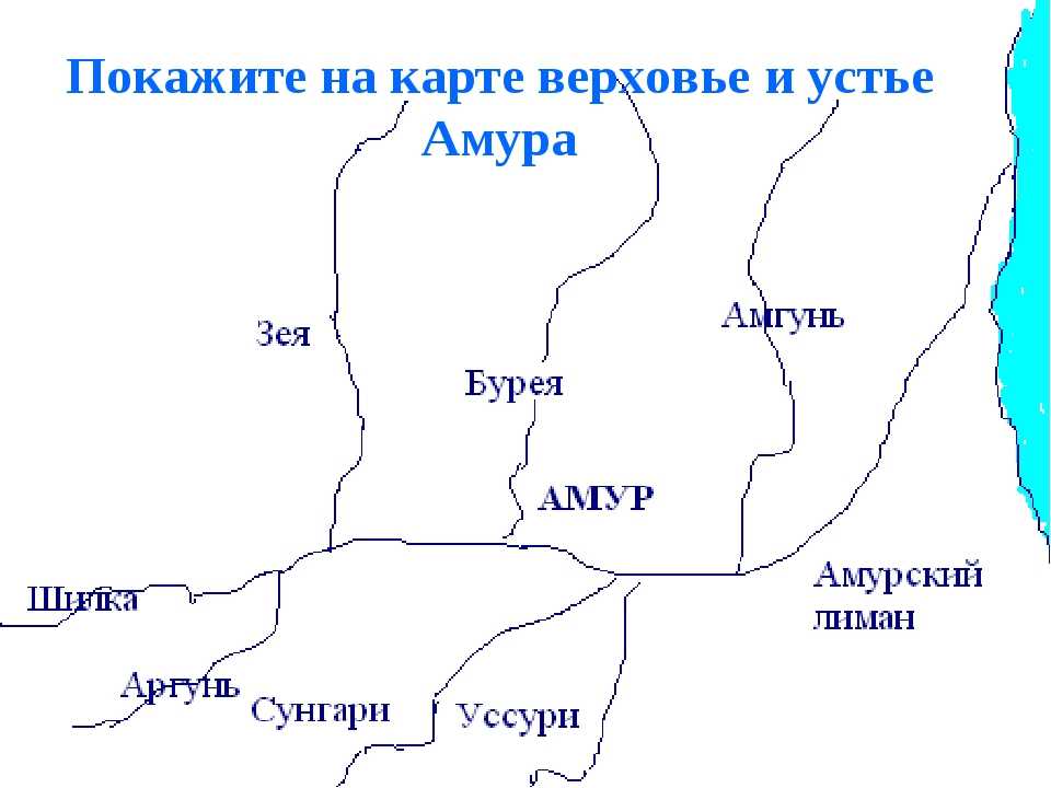 Река амур на карте от истока до устья куда впадает