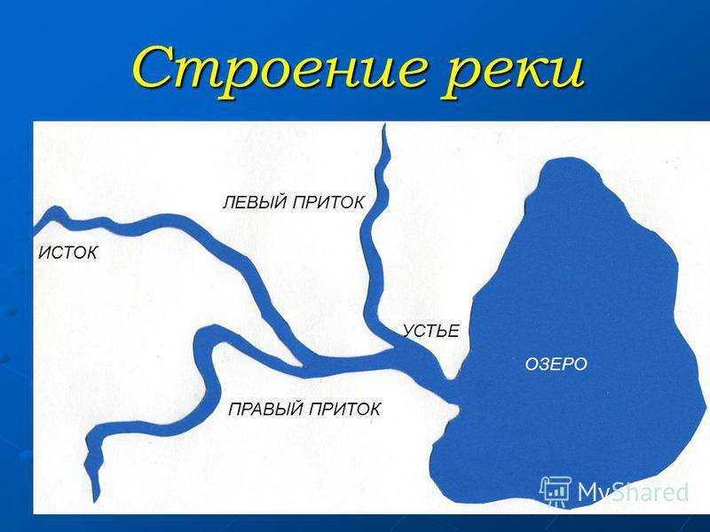 Река амазонка
