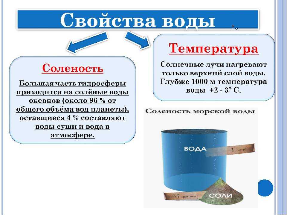 Чем пресная вода отличается от морской | в чем разница