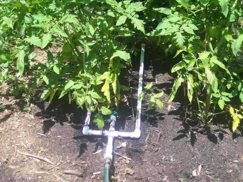 Выбор труб и организация капельного полива своими руками
