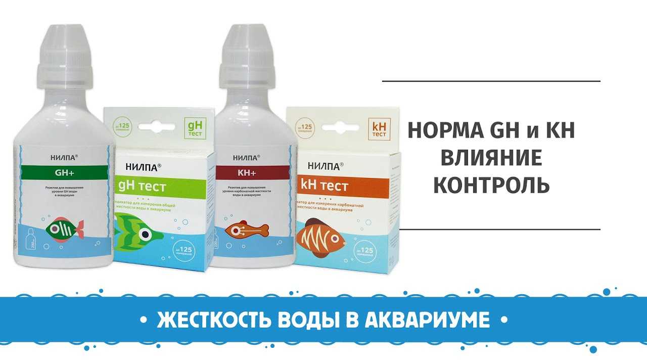 Жесткость воды в аквариуме — на что влияет, как управлять