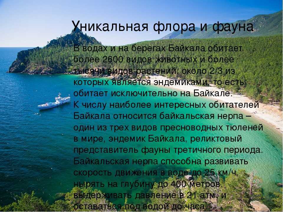40 интересных фактов о байкале