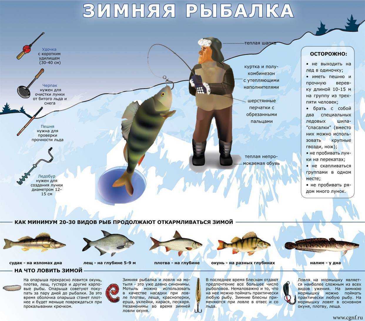 Отдых на андреевских озёрах в тюменской области: археологический музей, как добраться, карта