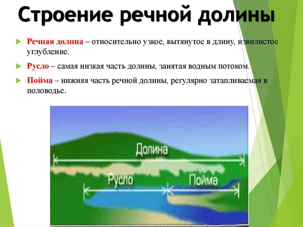 Пойма реки (5 фото): что это такое в географии, определение кратко, описание высокой и низкой части речной долины