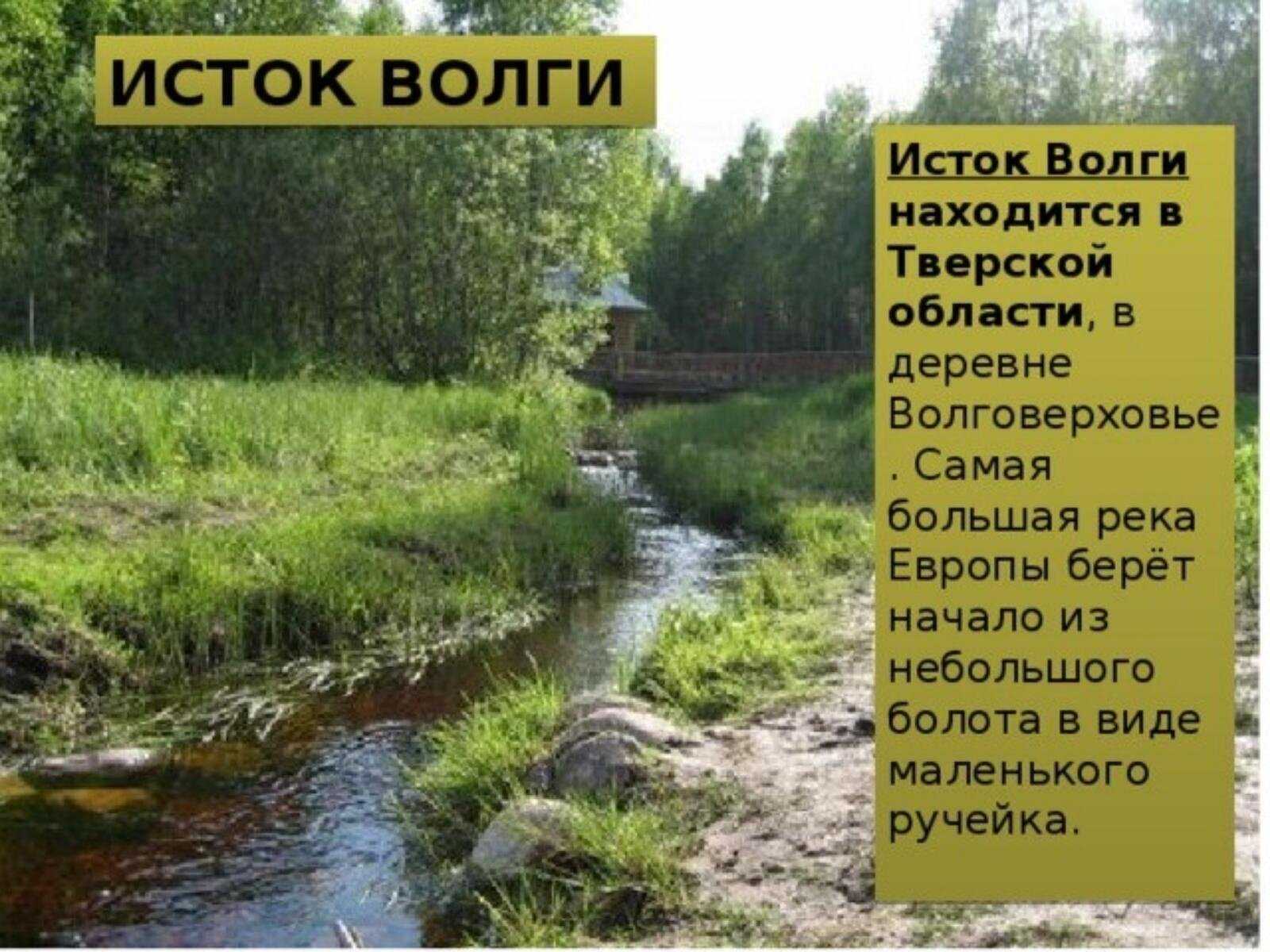 Где находится исток реки волга, координаты валдайской возвышенности на карте, описание места, начало волги и достопримечательности