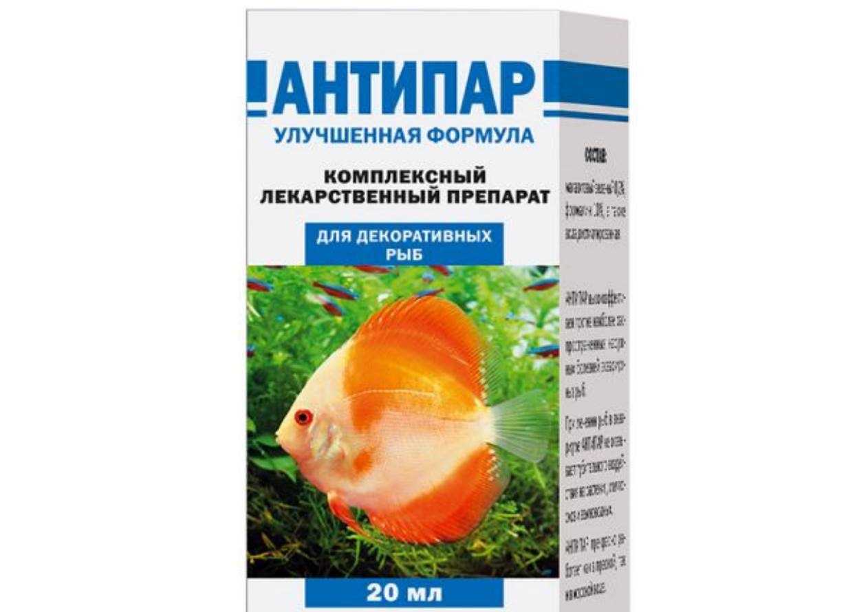 Болезни рыб в аквариуме