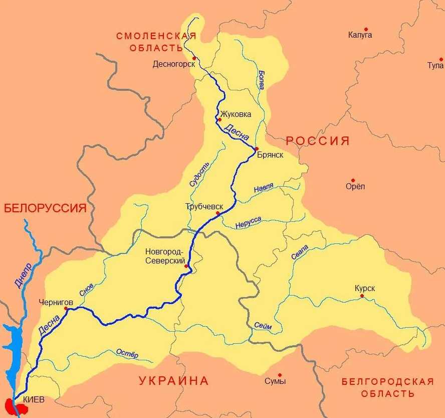 Река днепр. реферат. география, экономическая география. 2010-05-30