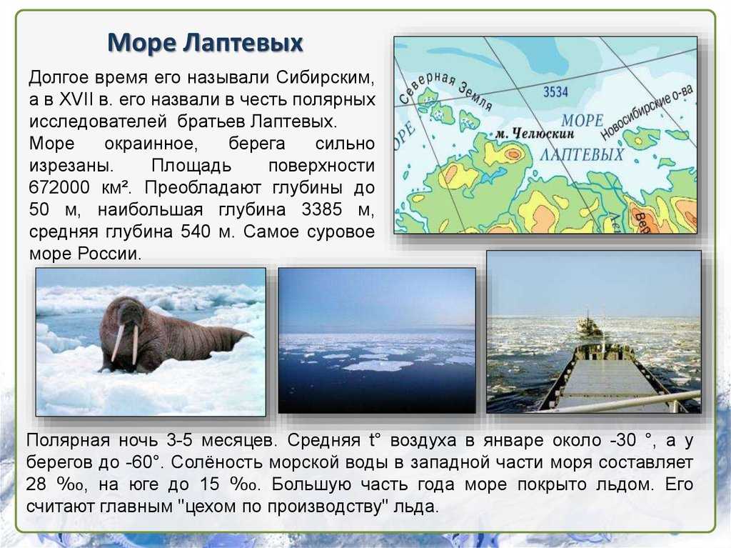 Море лаптевых – климат, карта, флора и фауна, состав воды и дно моря лаптевых - lowis