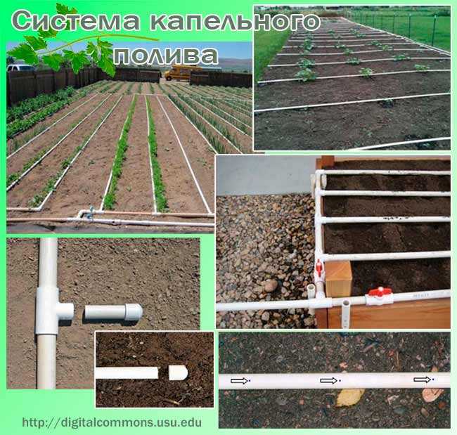 Капельный полив из труб и пластиковых бутылок своими руками для дачи
