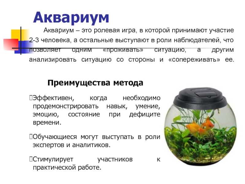Откуда пришло слово аквариум в русский язык