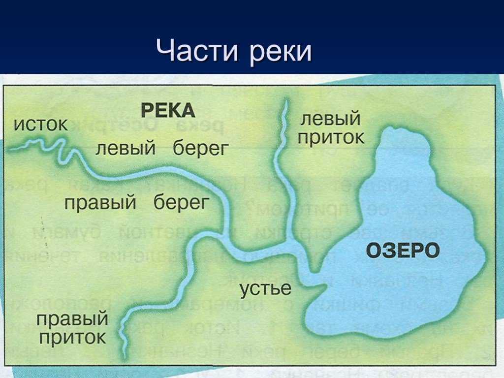 Устья