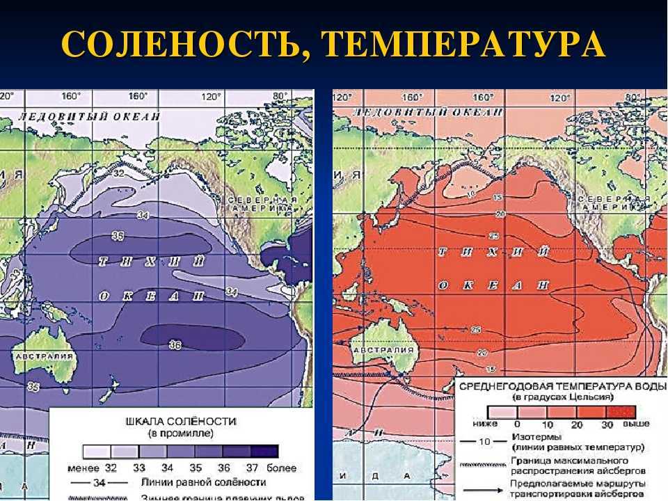Климатические  пояса тихого океана: положение и характеристика климатических поясов