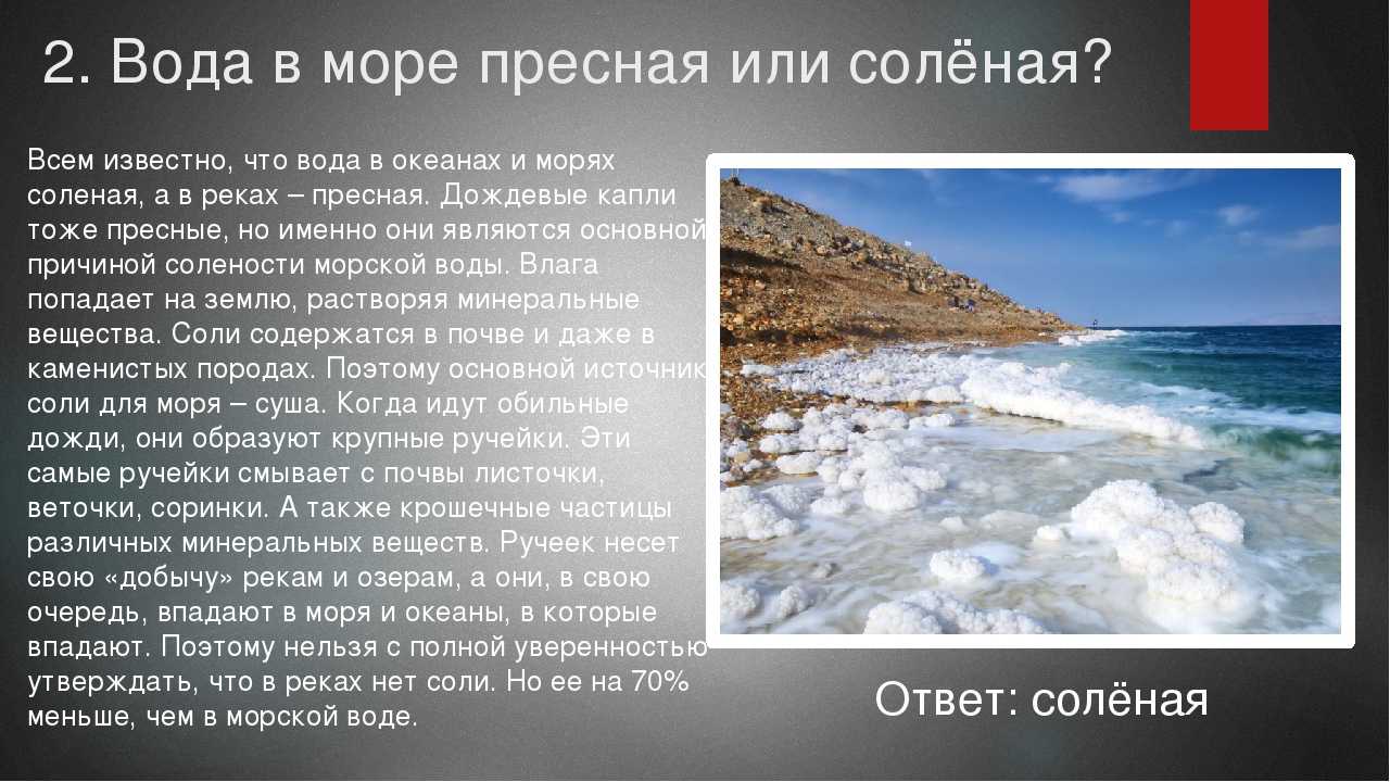 Вода в океане: пресная или соленая, рейтинг по солености