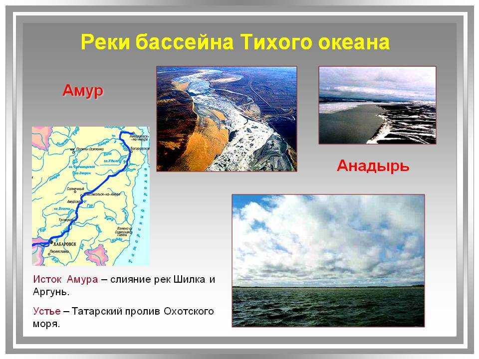 Какие реки относятся к бассейну тихого океана - список, характеристика и фото