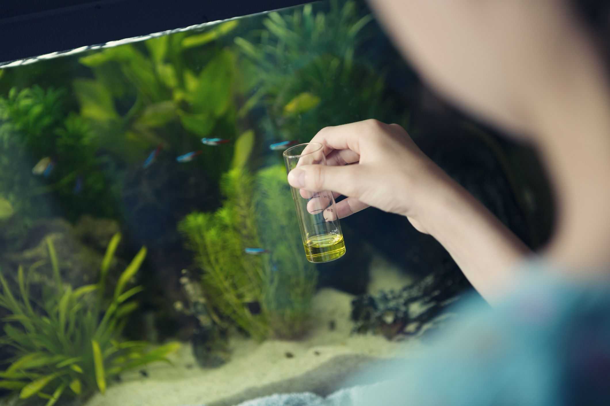Какая жесткость воды должна быть в аквариуме