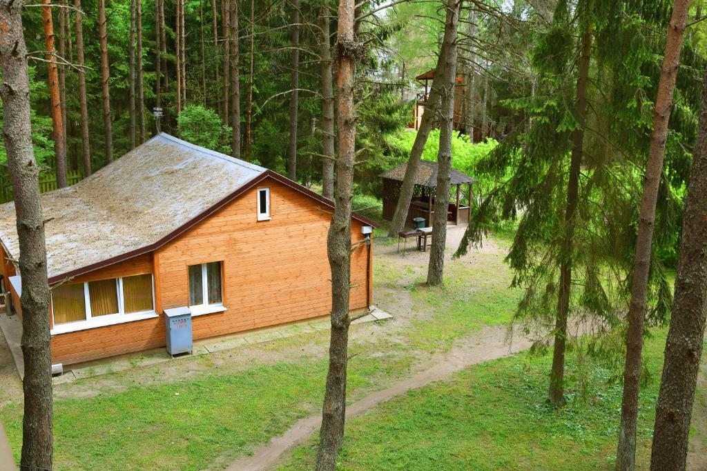 Экскурсии калининград – озеро виштынец (виштынецкое). три экскурсии на озеро виштынец.
