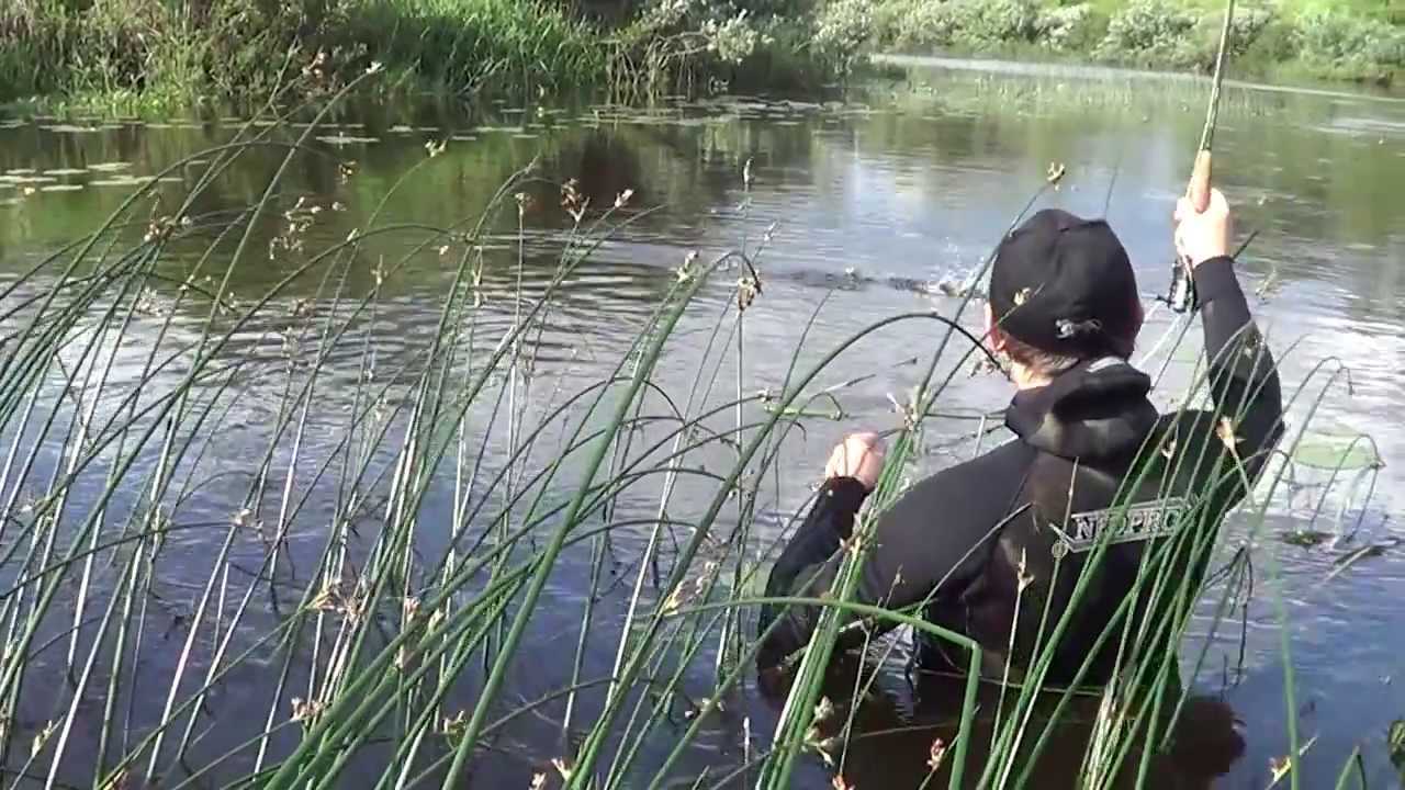 Чудское озеро: где находится, особенности, описание и интересные факты
