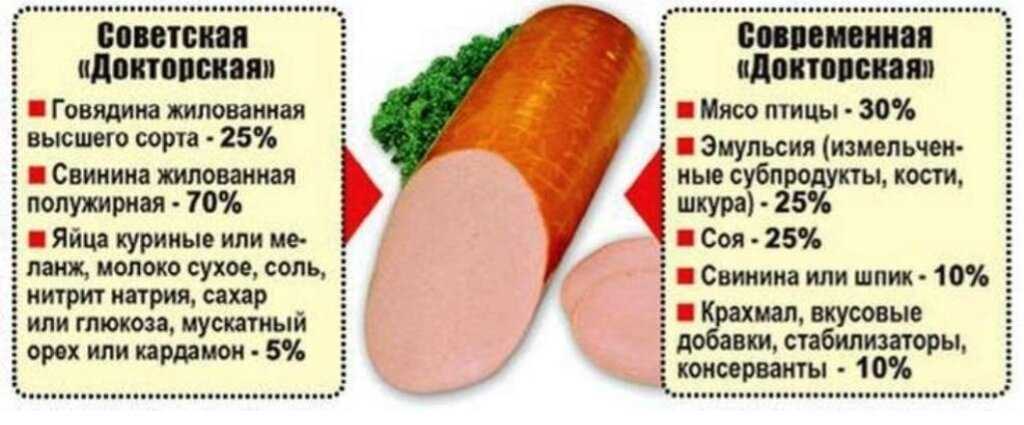 Как избавиться от улиток в аквариуме - лучшие способы борьбы