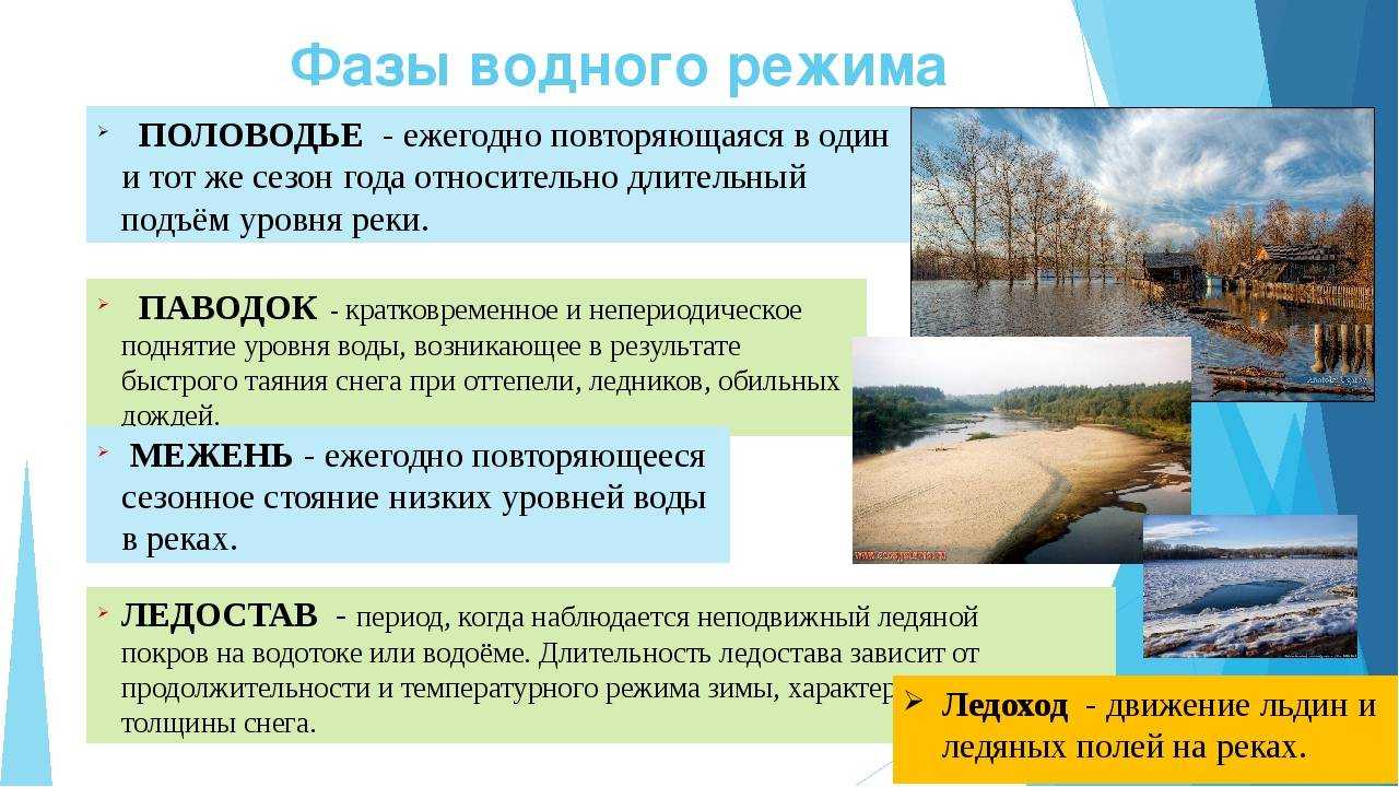 Рассказываем про водный режим, разбираемся, что это такое, какие типы бывают