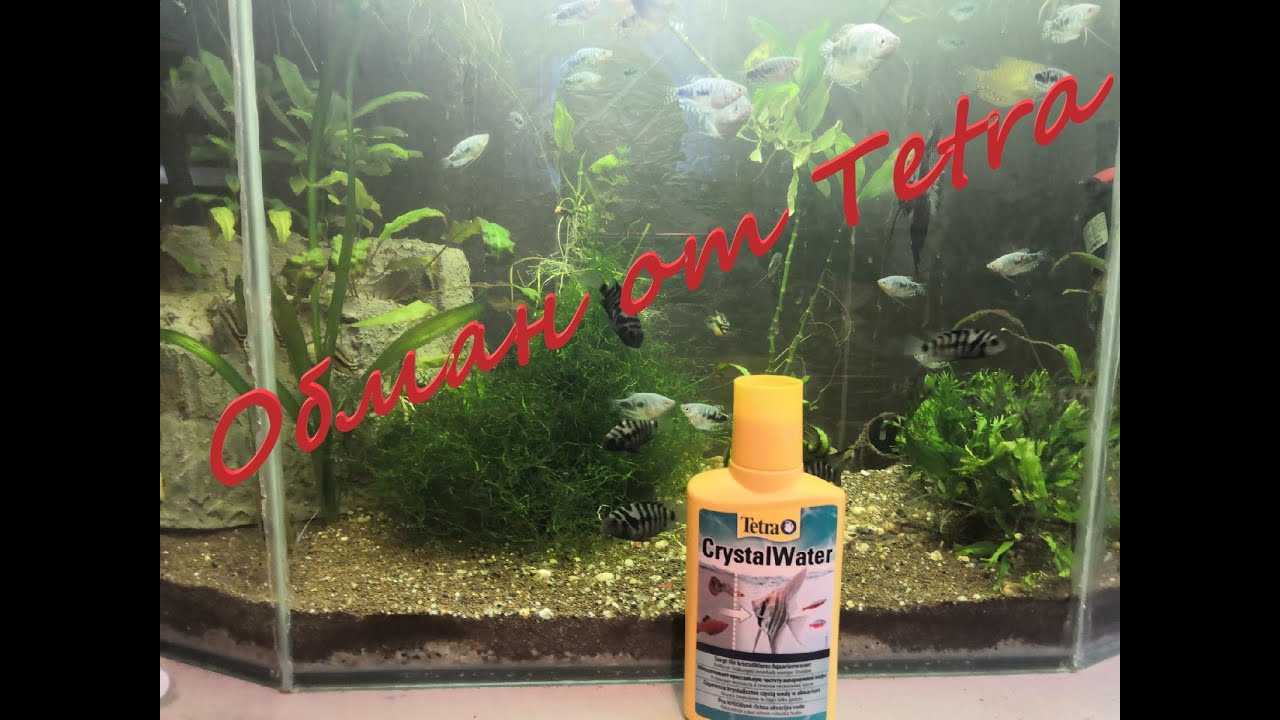 Инструкция по применению tetra crystal water для кристально чистого аквариума