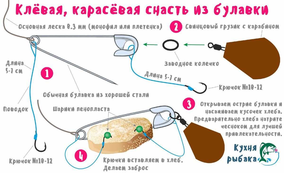 Ареал обитания тиляпии нильской  восточная Африка Встречается, начиная от реки Яркон  около ТельАвива и далее в реке Нил, в бассейне озера Чад  системе рек Нигер, реках Вольта, Гамбия, Сенегал
