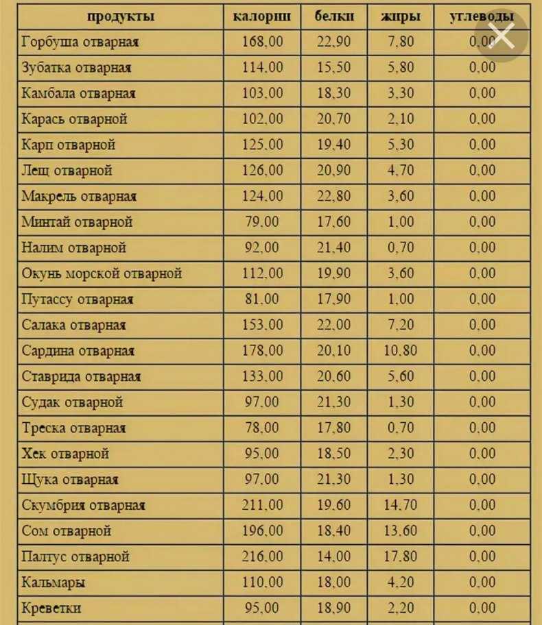 Рыба ерш: описание, виды, где обитает и чем питается, размеры ершей и правила ловли для начинающих