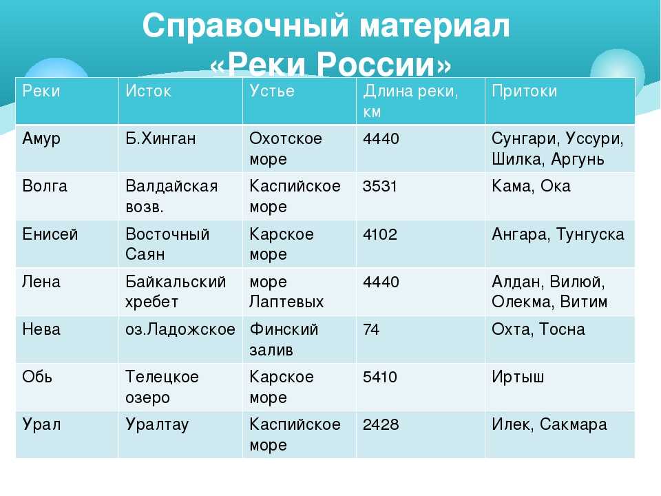 Река амазонка: история, происхождение, характеристики и многое другое ▷➡️ postposmo | постпост