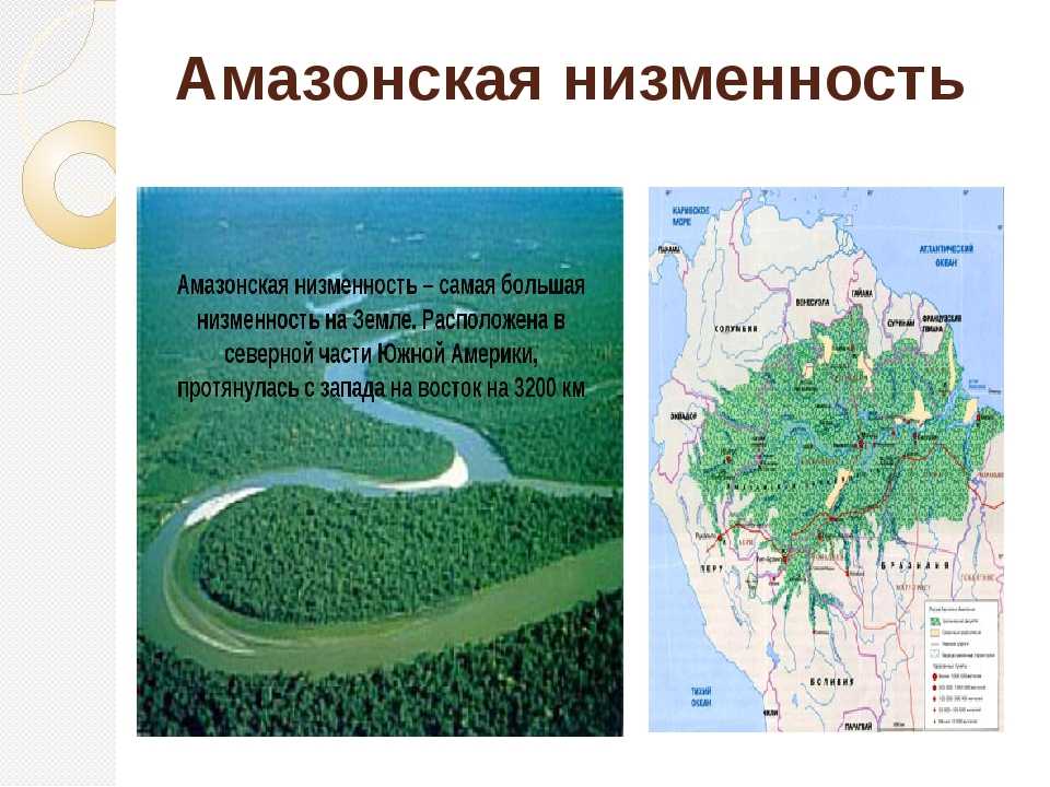 Амазонская низменность: географическое положение и описание, площадь и характеристика