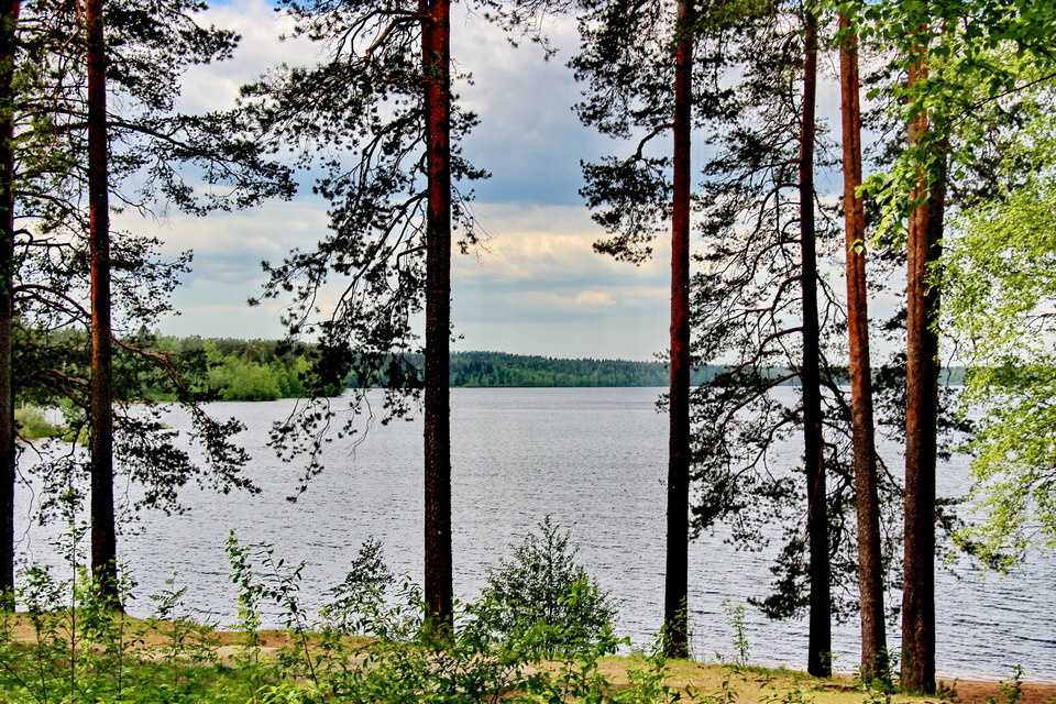 Винча, пудос, кукказёрка, воронья