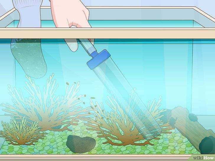 Обслуживание внешнего фильтра - aqua-tropica.ru