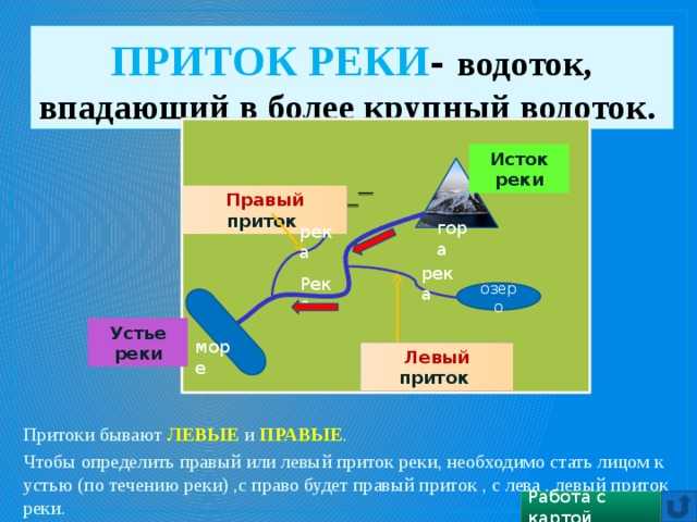 Устье реки. что такое устья реки - uhistory.ru