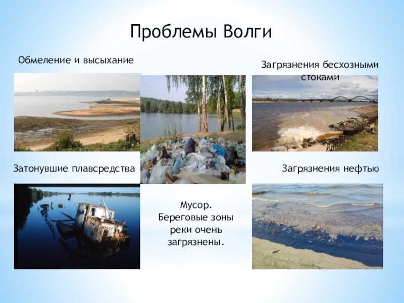 Изменения экологической обстановки на реке волга в чём проблемы