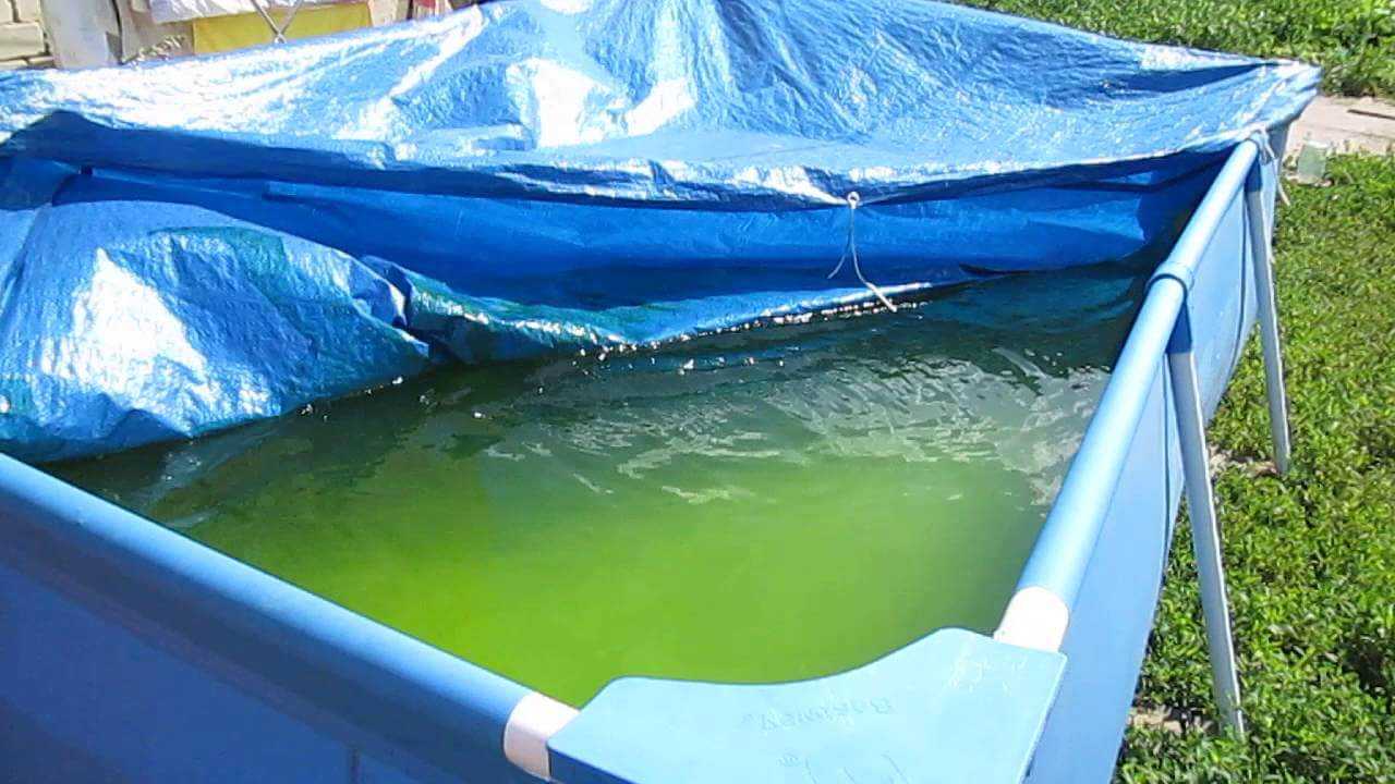 7 способов достижения кристальной чистоты воды в бассейне
